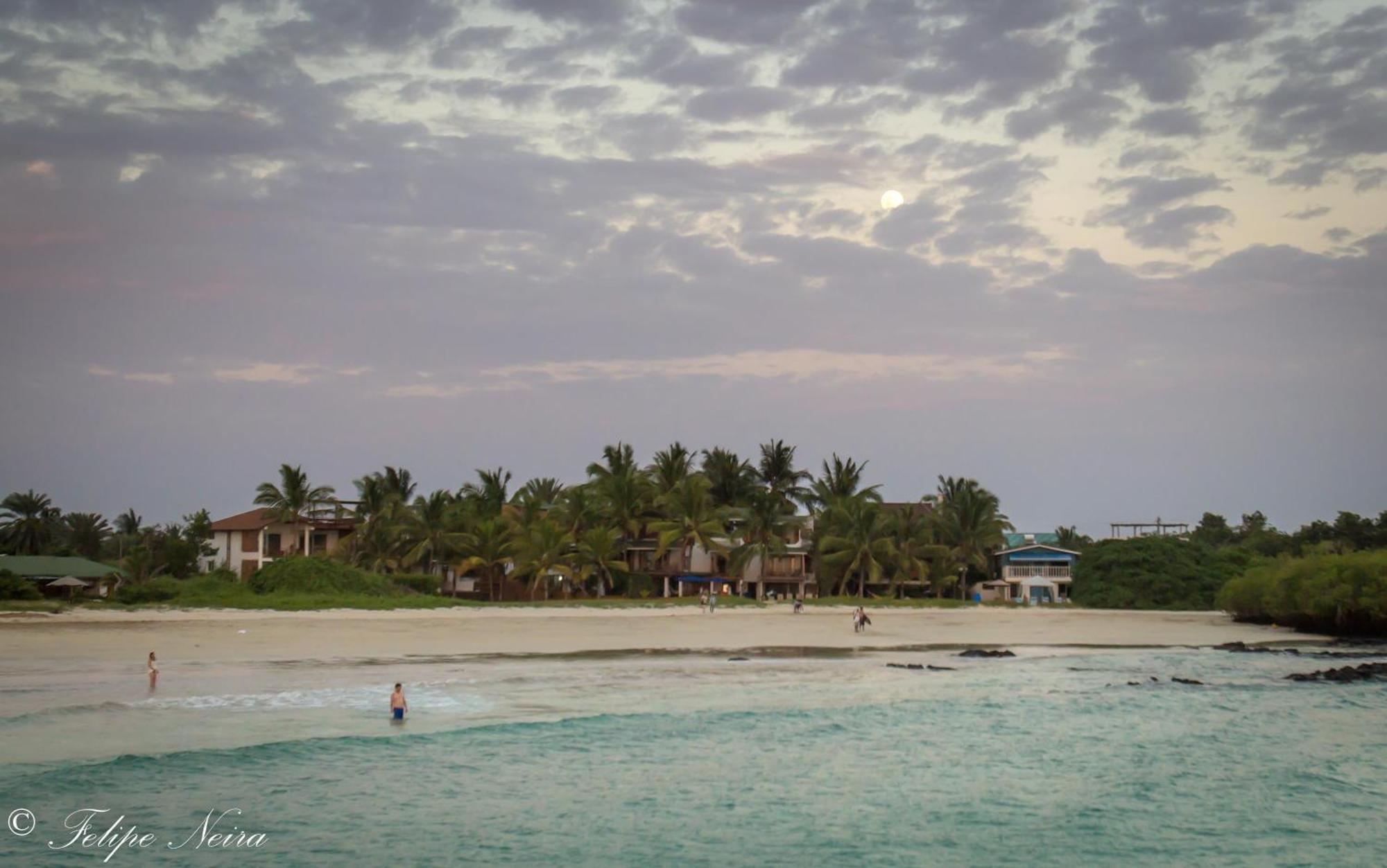 The Isabela Beach House Puerto Villamil Buitenkant foto